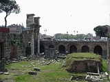 Roman Forum 3